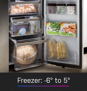 GE Profile Counter-Depth 22.9-cu ft 4 -Door Smart Compatible French Door Refrigerator with Ice Maker with Water Dispenser and Door within Door ( Stainless Steel ) ENERGY STAR Certified