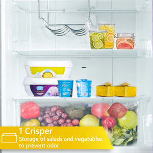 Equator Advanced Appliances 10.8-cu ft Standard-Depth Bottom-Freezer Refrigerator Stainless Steel ) Garage Ready ENERGY STAR Certified