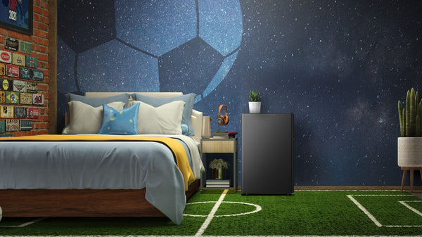 Hisense 2.5-cu ft Mini Fridge ( Black ) ENERGY STAR